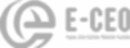 E-CEO