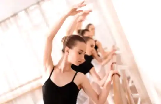 Ozel Yetiskin Bale Kursu